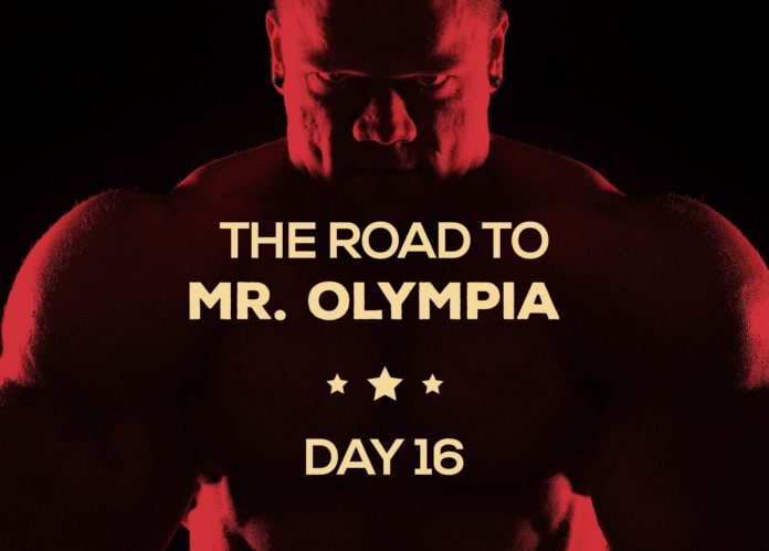 Road to mr olympia day16