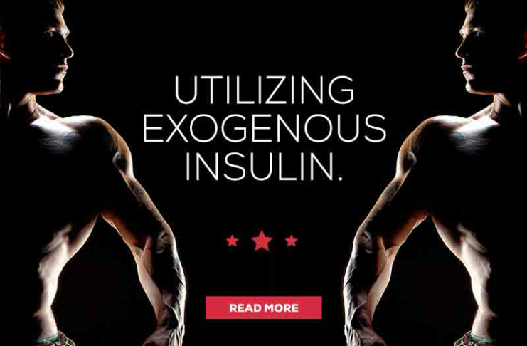 Utilizing Exogenous Insulin