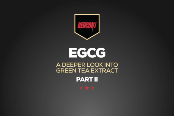 RedCon1 - A Deeper Look into EGCG (Green Tea Extract) Part II