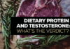Dietary Protein and Testosterone