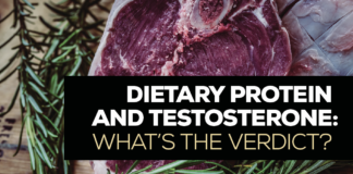 Dietary Protein and Testosterone